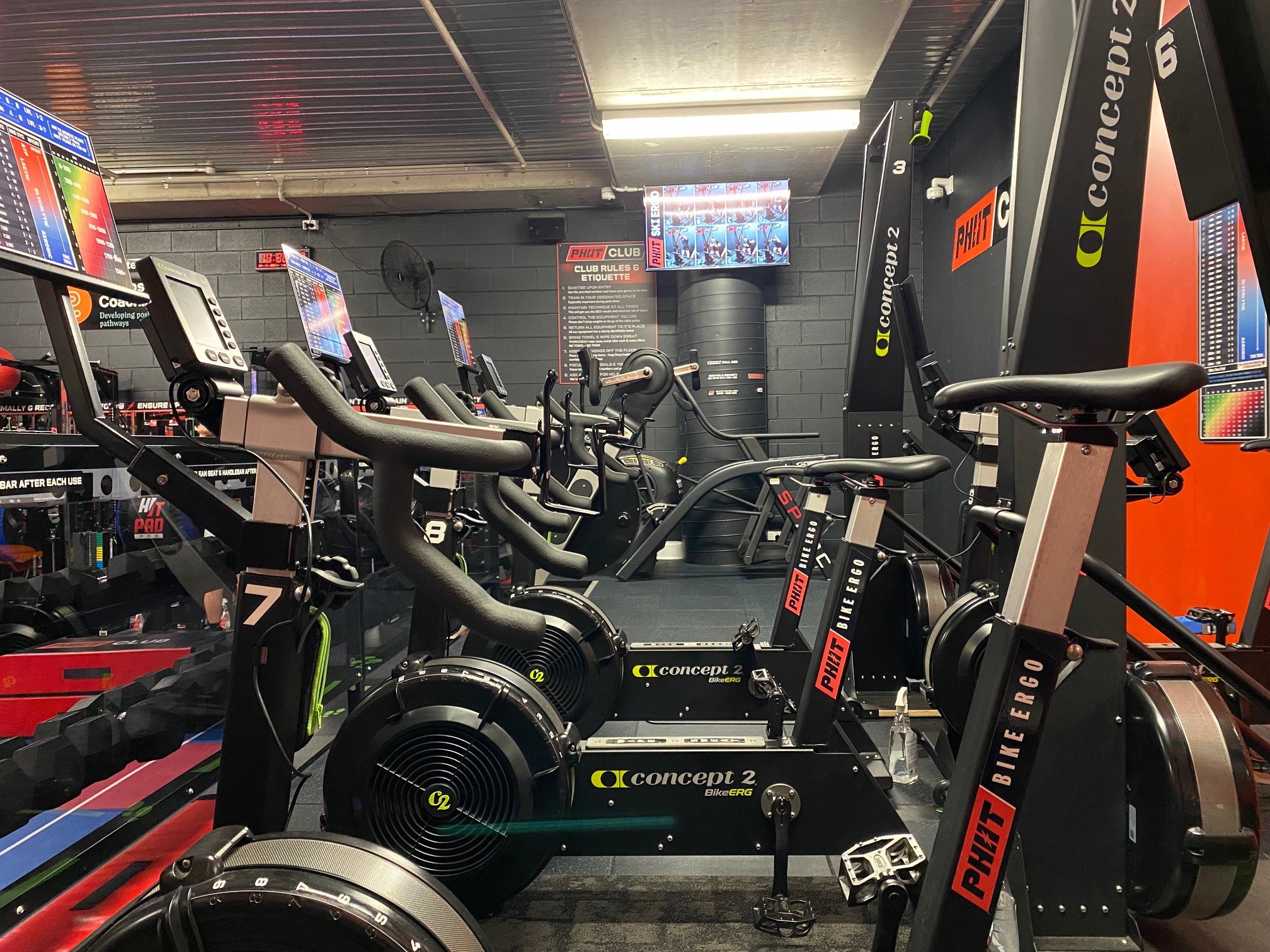 Ergo Section Ergo Section